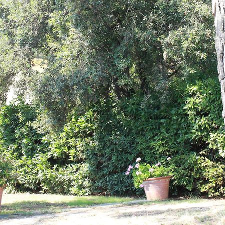 Villetta La Pineta Latignano Екстер'єр фото